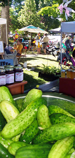 That Pickle Guy Fresh Packed Pickles at Farmers Markets across Chicago and the suburbs
