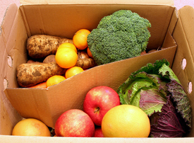 Vegetable Selection: Each vegetable is selected based upon a careful &ldquo;Survival of the Fittest&rdquo; process. Once chosen, they are cleansed by cold filtration. The vegetable groups are re-inspected and prepared for curing.